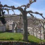 castillon-en-couserans-arriege-ville